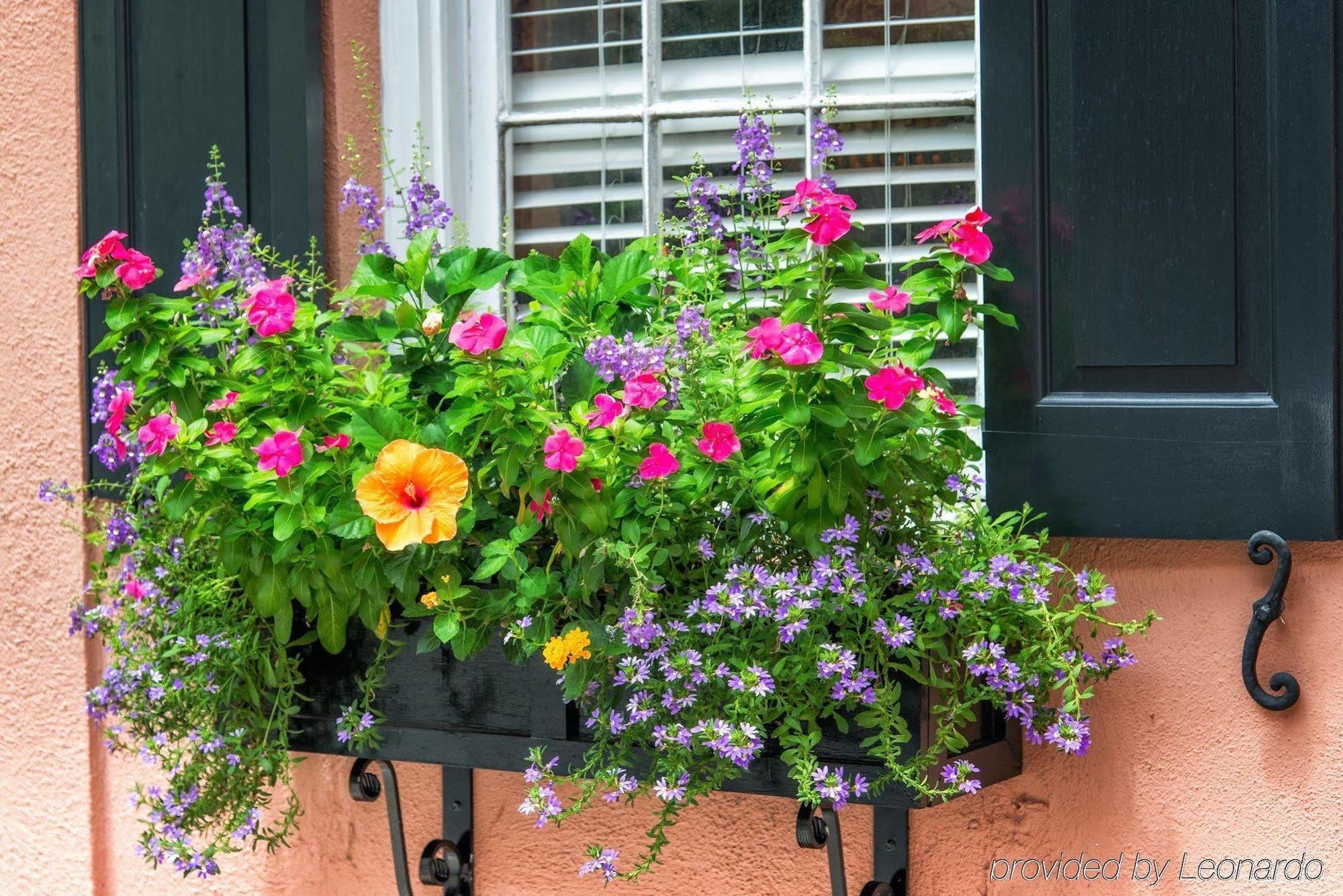 The Elliott House Inn Charleston Exteriör bild
